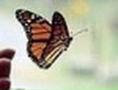 Кароліна Karolina фотография #46 (источник - https://vk.com/id25867737)