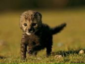 Фотография Бахвалова Станислава