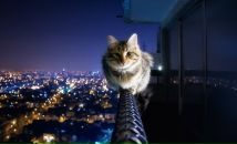 Фотография Дмитрий Ейбоженко
