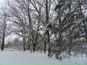 Вова Таргоній фотография #48 (источник - https://vk.com/id62501575)