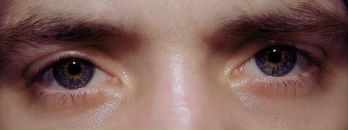 Фотография Комарова Алексея