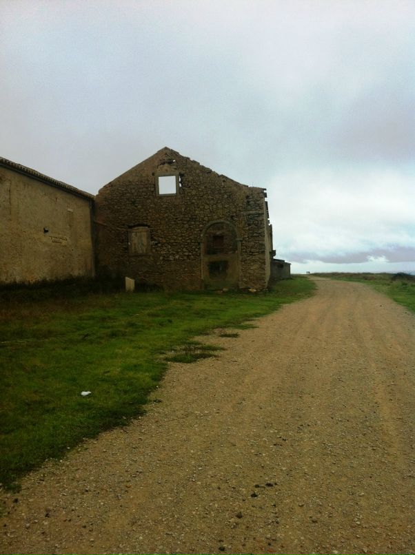 Милена Бабаян фотография #19