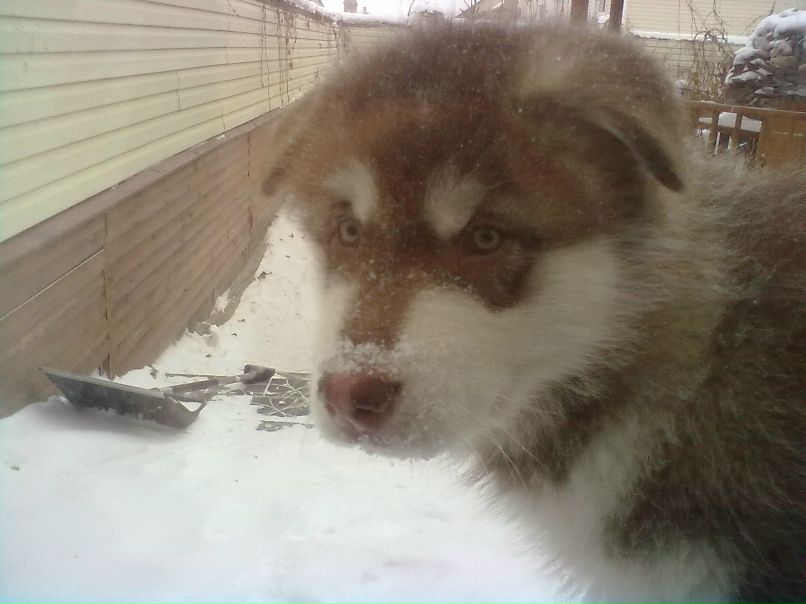 Александр Автаев фотография #11