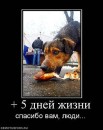 Ігор Невідомський фотография #12 (источник - https://vk.com/id49550529)
