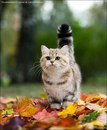 Христина Стасіва фотография #5 (источник - https://vk.com/id199733616)