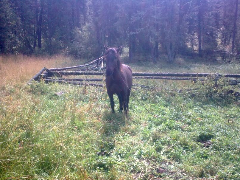 Сергей Плугарь фотография #15