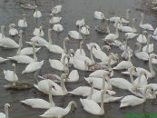 Ігор Юрків фотография #35 (источник - https://vk.com/id32795625)