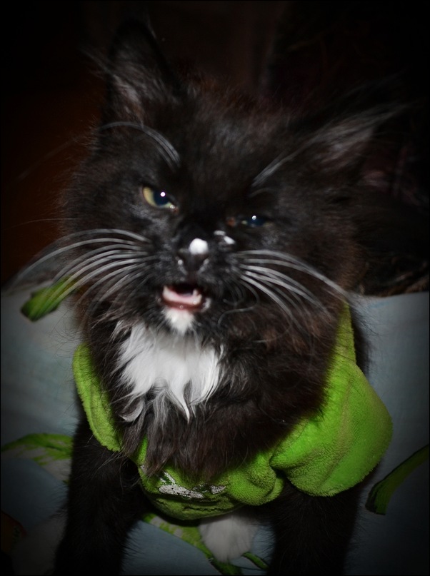 Рустам Дускаев фотография #23