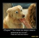 Василь Міляновський фотография #49 (источник - https://vk.com/id157342237)