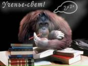 Фотография Якимченко Анны