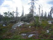 Иван Паньков фотография #45 (источник - https://vk.com/id746503)