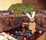 Фотография Семёновой Елены