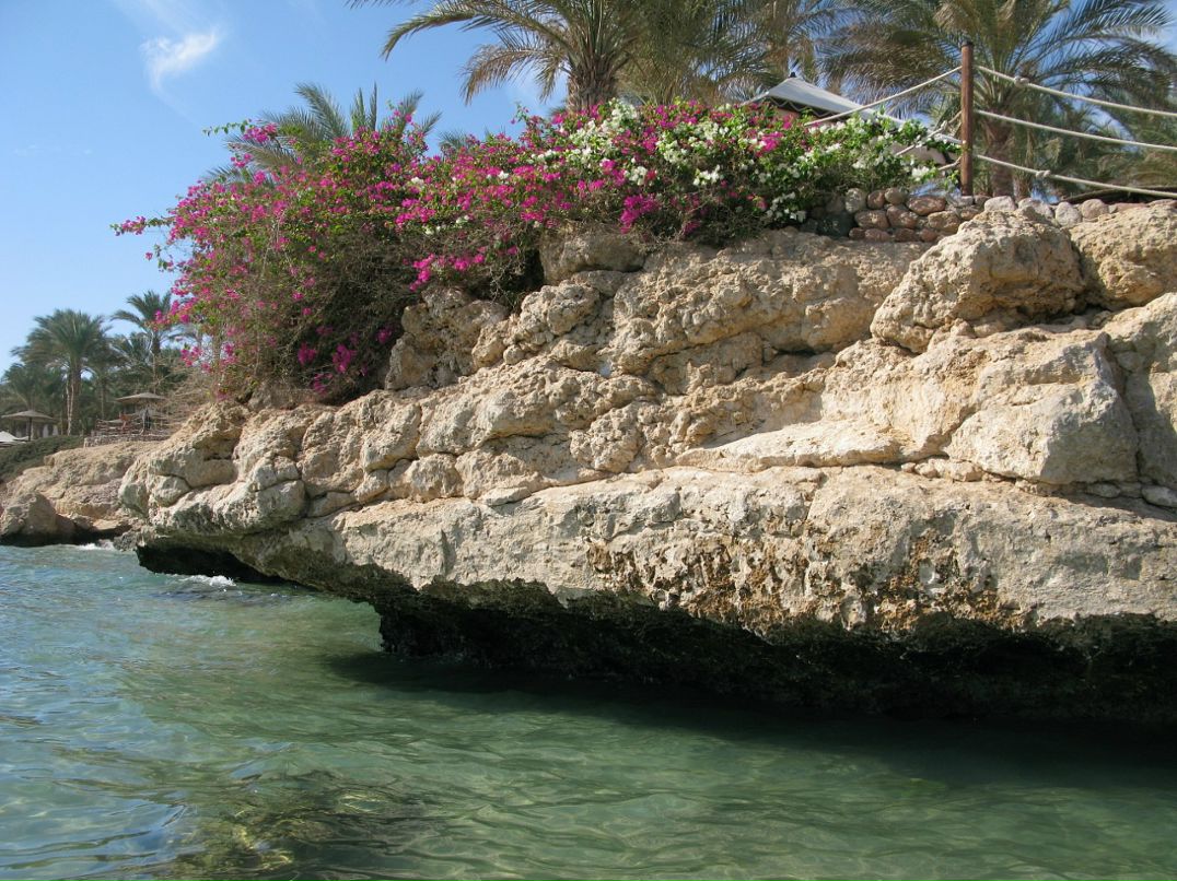 Валерия Ткаченко фотография #48