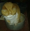 Віра Остапчук фотография #38 (источник - https://vk.com/id152838704)