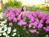 Ольга Мингалимова фотография #42 (источник - https://vk.com/id1254738)