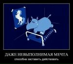 Фотография Ивановой Анастасии