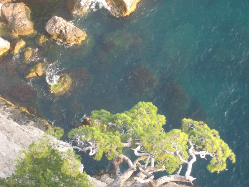 Дмитрий Резенков фото №44