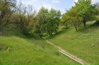 Андрій Ключник фотография #28 (источник - https://vk.com/id3632440)