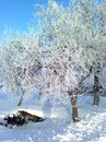 Ігор Приступа фотография #13 (источник - https://vk.com/id102252809)