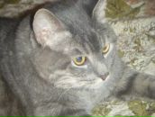 Фотография Богдановой Светланы