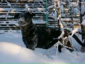 Фотография Кондаковой Ольги