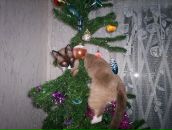 Фотография Журавлевой-Данилиной Екатерины