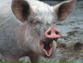 Фотография Медведева Мария