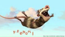 Фотография Якобан Жени