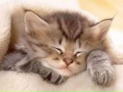 Екатерина Иваныш фотография #1