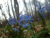 Юрій Нагорний фотография #18 (источник - https://vk.com/id19780900)