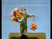 Ильяс Плотников фотография #6 (источник - https://vk.com/id54465498)