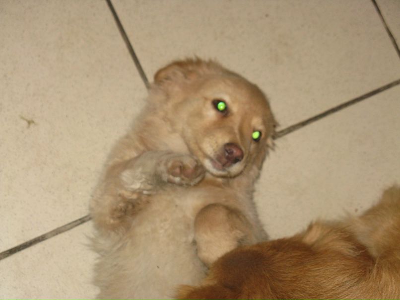 Дмитрий Бурлаков фотография #29