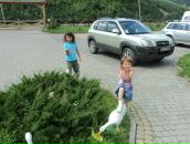 Ірина Петришин фотография #14 (источник - https://vk.com/id128530126)