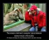 Міша Божан фотография #29 (источник - https://vk.com/id31850740)