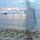 Фотография Лис Евгении