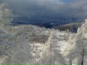 Іван Коваль фотография #23 (источник - https://vk.com/id50934328)