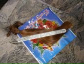 Фотография Шут Нелли