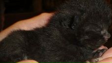 Фотография Хусаиновой Алсу