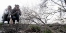 Аліночка Smile фотография #6 (источник - https://vk.com/id28786935)