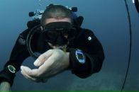 Фотография Shilo Mowgli