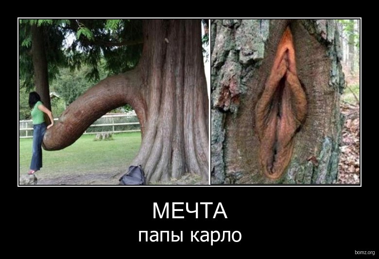 Богдан Диня фотография #22