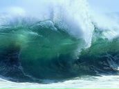 Фотография Федоровой Ольги