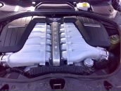 Фотография Петренко Евгения