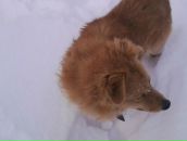 Міша Мудрак фотография #18 (источник - https://vk.com/id133031979)