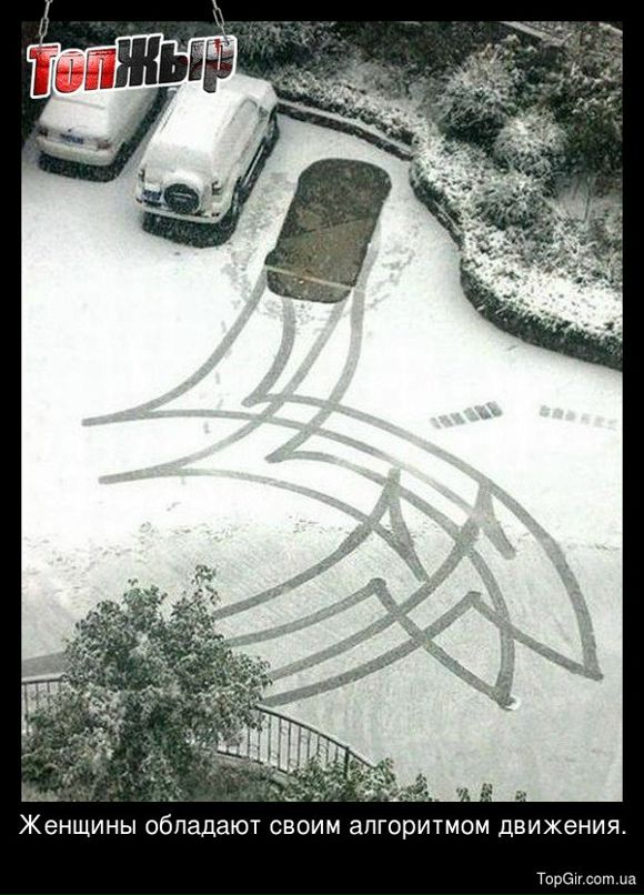 Igor Stopa фотография #45