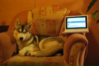 Фотография Roganova Kseniya