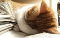 Фотография Логиновой Любы