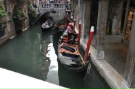 Фотография Величко Татьяны