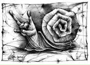 Фотография Гончаренко Оксаны