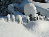 Иван Никулин фотография #49 (источник - https://vk.com/id755602)